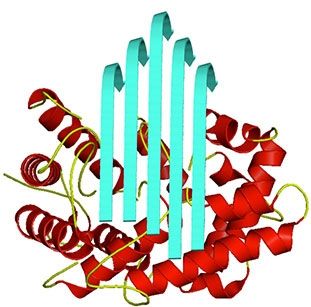 Logo Novel Enzymes