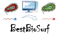 Logo BestBiosurf