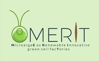 Logo MERIT