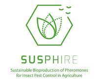 Logo SUSPHIRE