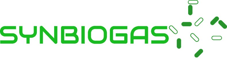 Logo SYNBIOGAS