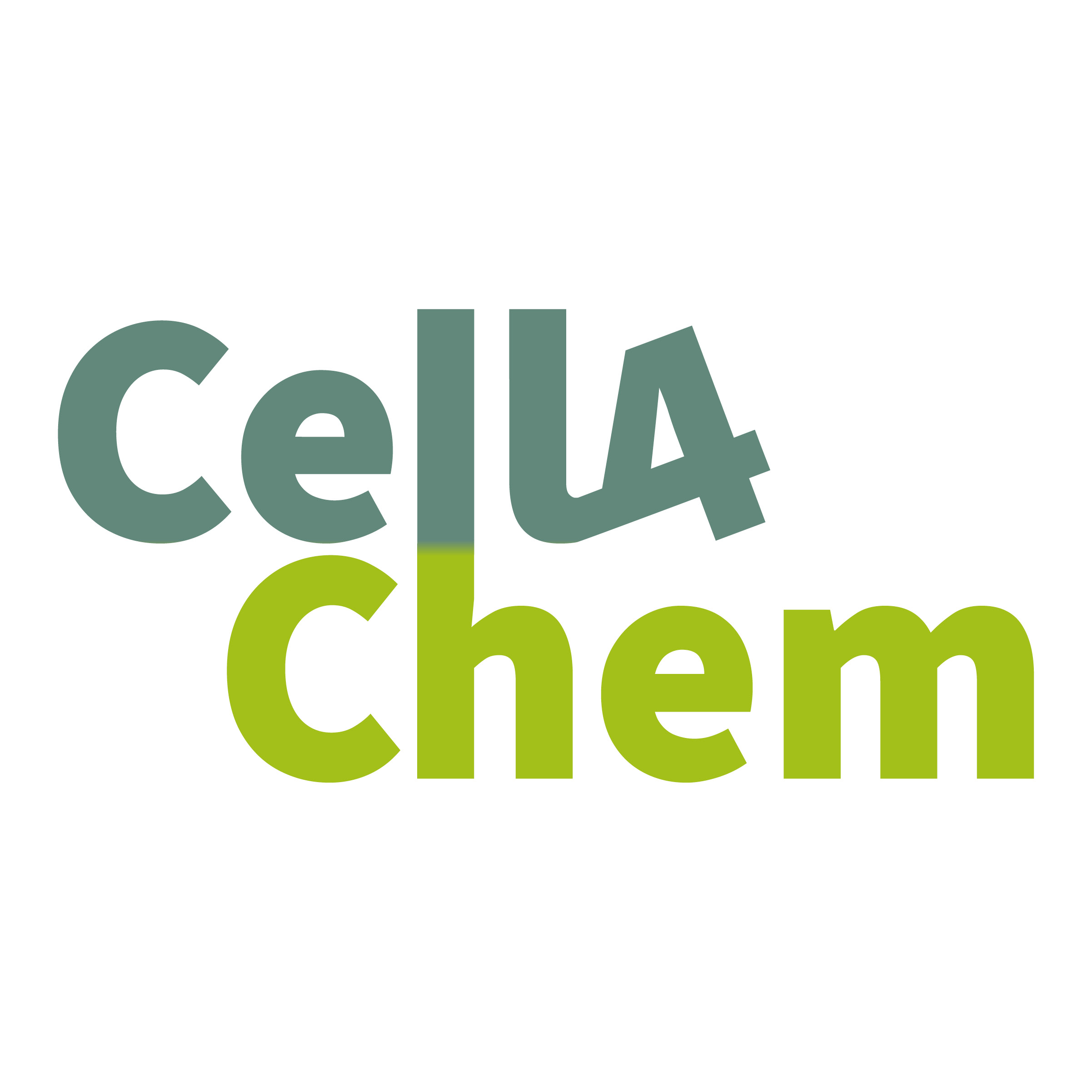 Logo CELL4CHEM